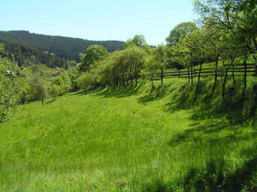 Files/Pictures/1/224705-priroda_jaro_01.jpg