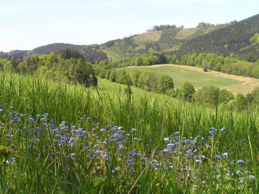 Files/Pictures/1/224804-priroda_jaro_07.jpg