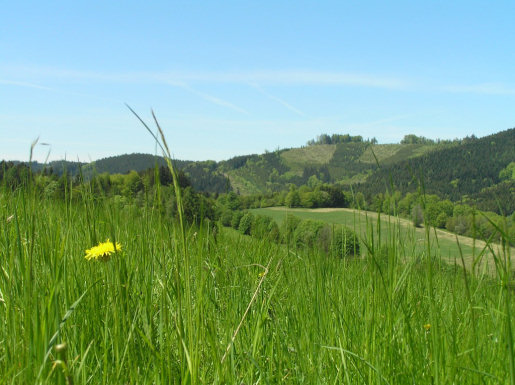 Files/Pictures/1/224804-priroda_jaro_08.jpg