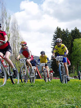 Files/Pictures/12/mtb4-28.jpg