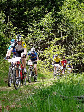 Files/Pictures/12/mtb4-34.jpg