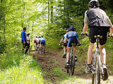 Files/Pictures/12/mtb4-41.jpg