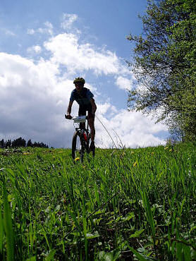 Files/Pictures/12/mtb4-43.jpg
