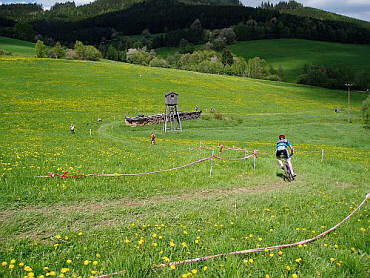 Files/Pictures/12/mtb4-44.jpg