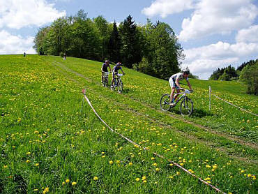 Files/Pictures/12/mtb4-46.jpg