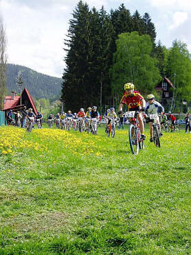 Files/Pictures/12/mtb4-56.jpg